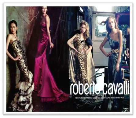 ROBERTO CAVALLI