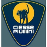 CIESSE PIUMINI